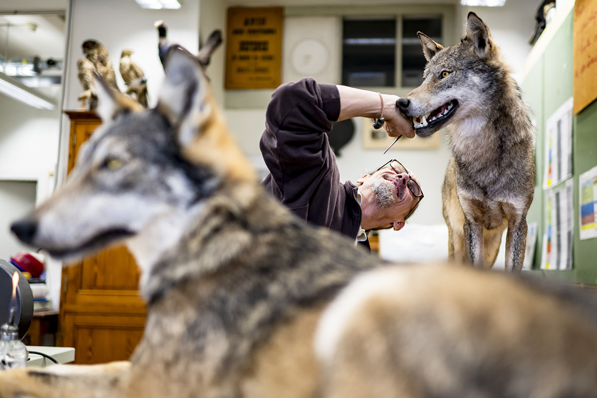 691094009 – Foto: KEYSTONE/Jean-Christophe Bott