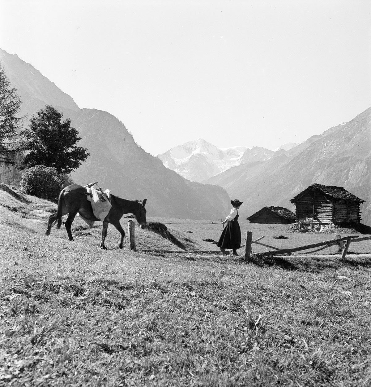 578501584 – Foto: KEYSTONE/Photopress-Archiv/Kernen 578501584 – Foto: KEYSTONE/Photopress-Archiv/Kernen