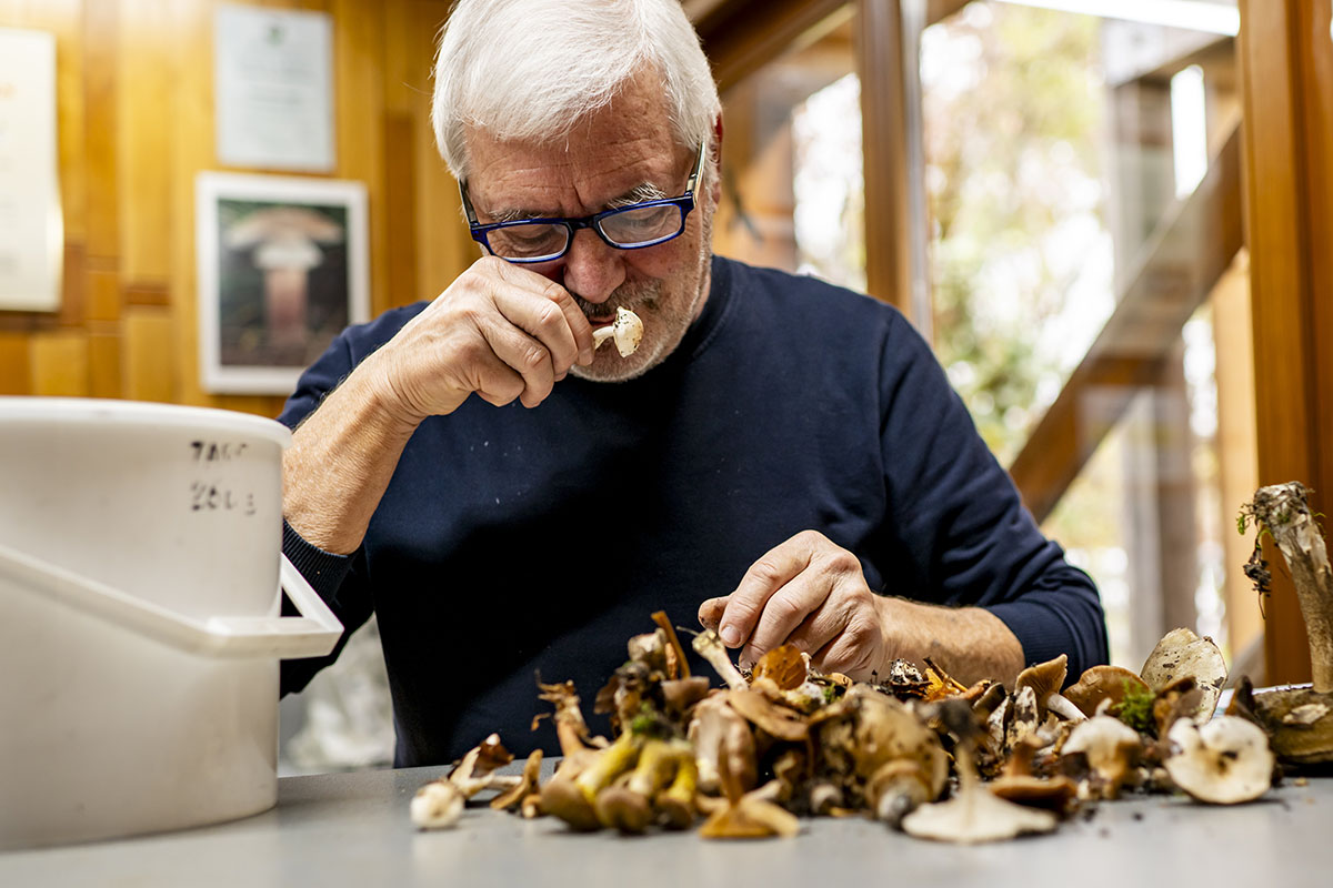683693944 – Foto: KEYSTONE/Jean-Christophe Bott 683693944 – Foto: KEYSTONE/Jean-Christophe Bott
