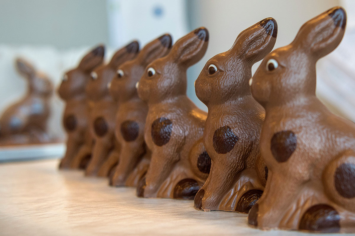 Schoggi-Hasen der Zürcher Confiserie Honold in der Schokoladenmanufaktur in Küsnacht, März 2018. Foto: Keystone-SDA / Christian Beutler 