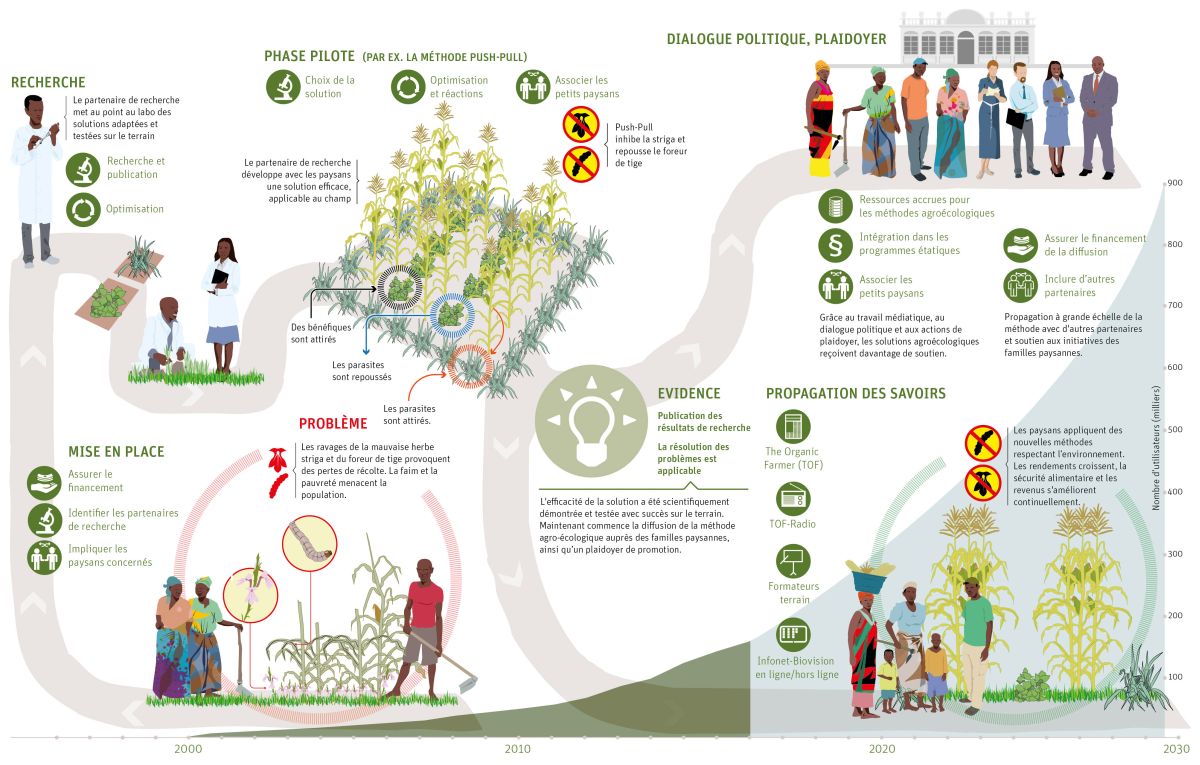Infographie Keystone-ATS commandée par Biovision, Fondation pour un développement écologique.