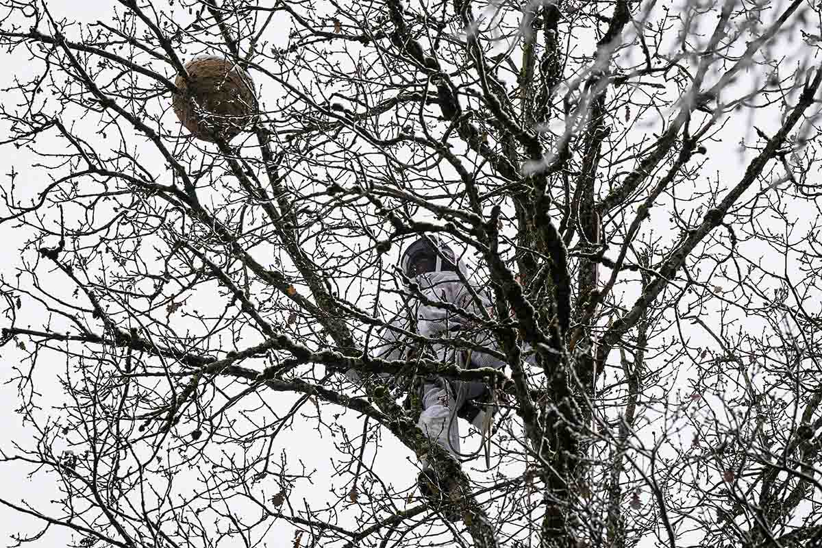 688400547 – Foto: KEYSTONE/Christian Beutler